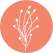 Citrus